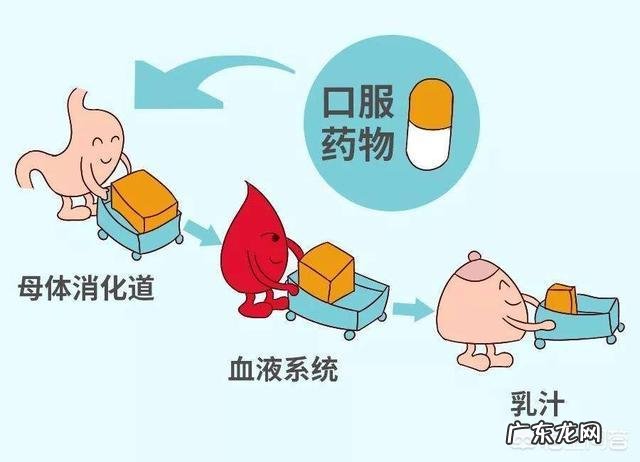 哺乳期胃肠感冒发烧吃了布洛芬和999,停药多久后才能喂奶?