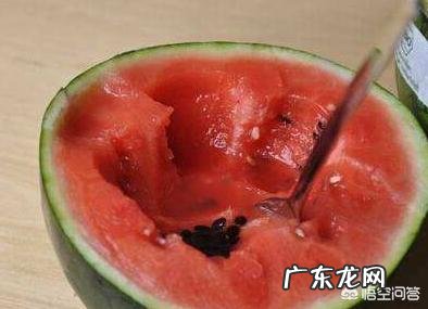 放开肚皮，无所顾忌，你一天能吃几个西瓜？