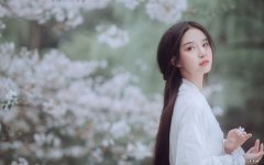 韩国料理中什么含热量最低？