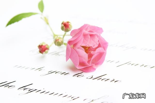 我是一个高中老师,收到女学生的情书,我应该怎么做