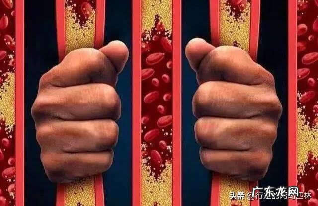 高血脂人群应如何从饮食上控制疾病?