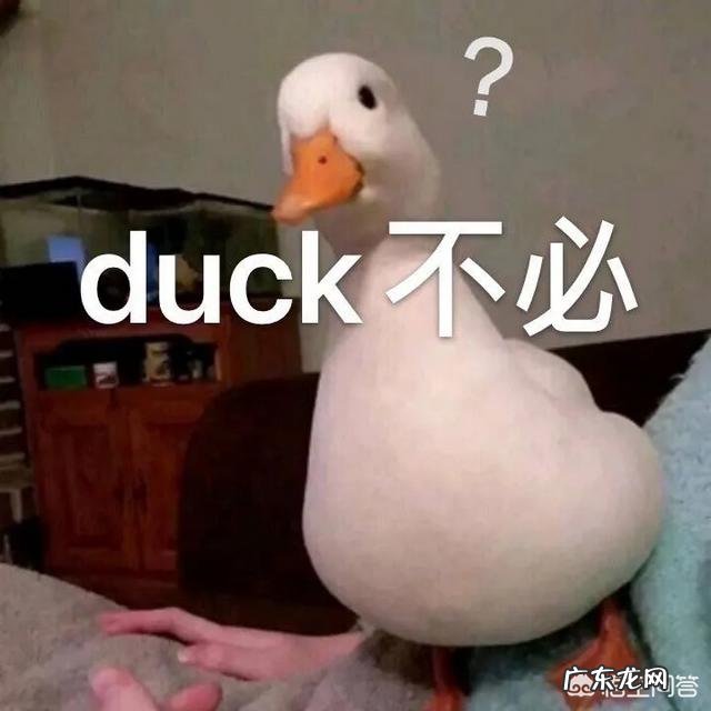 你有没有做过同一个梦？感觉挺真实的，你做过什么样的梦呢？