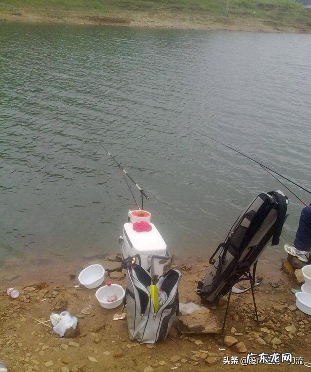 钓鱼新手教程大全野钓 钓鱼新手去野钓应该怎么做准备?
