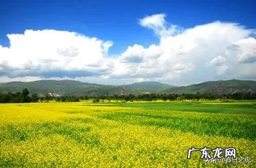 钓鱼新手教程大全野钓 钓鱼新手去野钓应该怎么做准备?