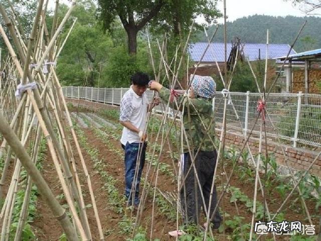 煮肉时的浮沫,到底是精华还是脏东西?