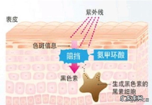 夏天太热了,什么都不想吃,怎么办?