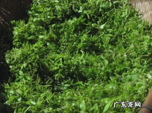 猪肉祛湿气煲什么汤好 天气潮湿,吃什么祛湿汤比较好?