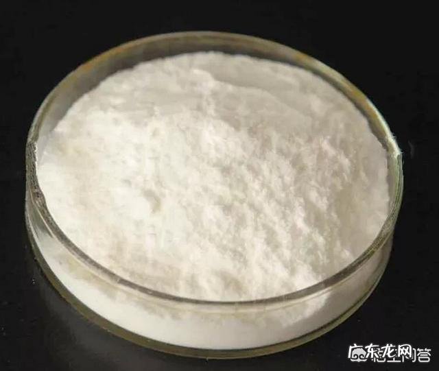 最近甲壳素这么火，甲壳素到底有什么作用？