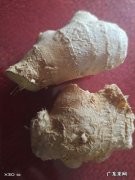 生姜红枣枸杞玫瑰花茶催经吗？