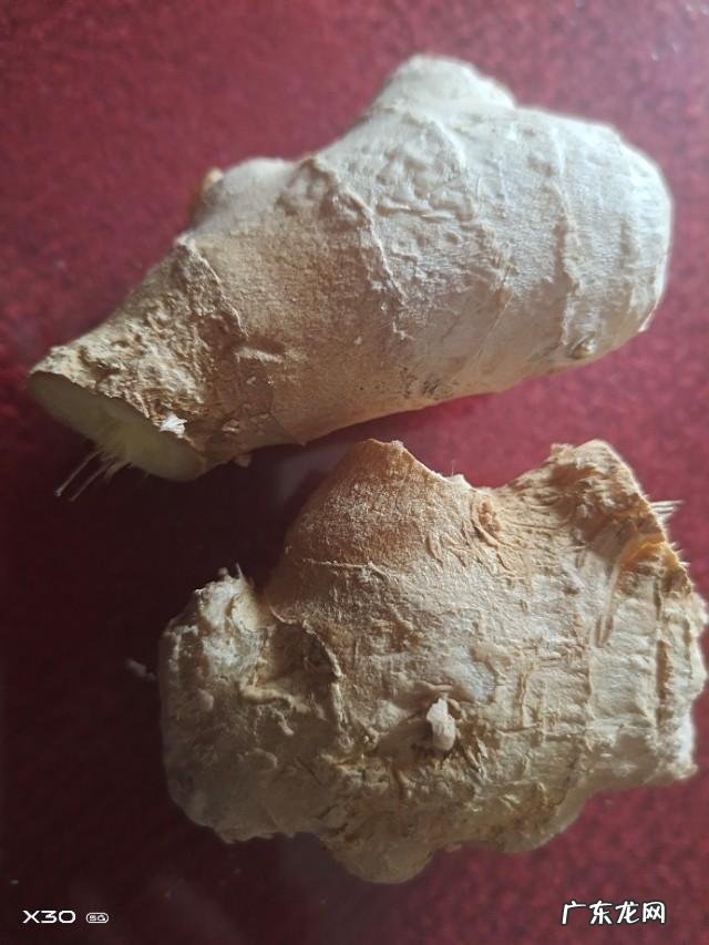 生姜红枣枸杞玫瑰花茶催经吗?