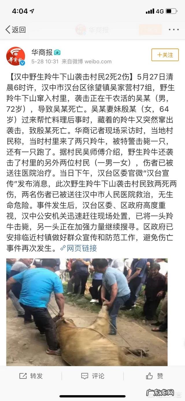 普通人在赤手空拳的情况下打得过大熊猫吗