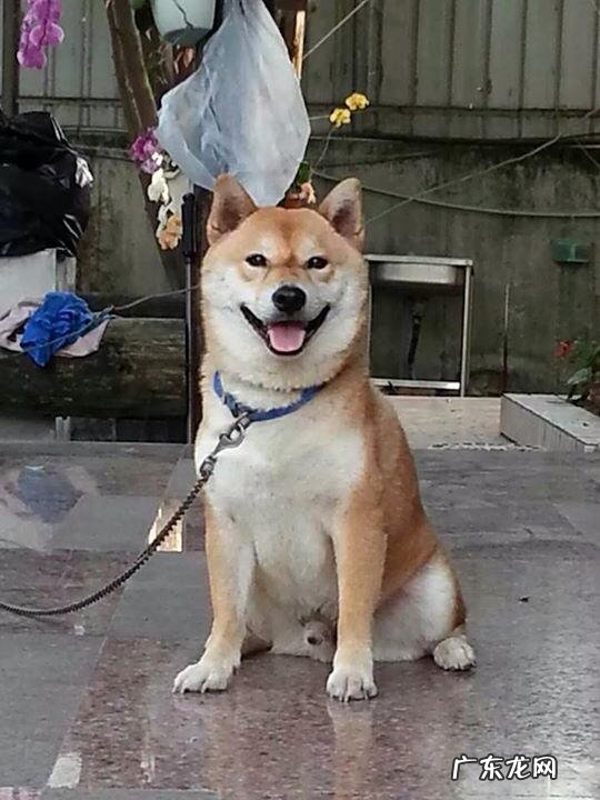 养森瘦瘦包是什么？有没有人用过？要几个疗程可以见到效果