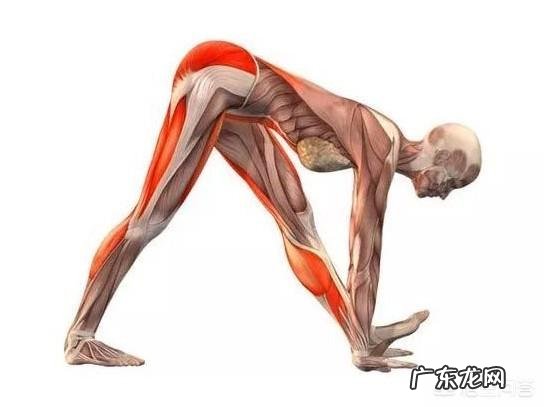 各位在剧烈运动过后使用过筋膜枪吗?