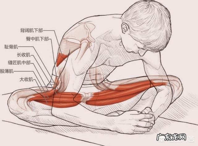 各位在剧烈运动过后使用过筋膜枪吗?