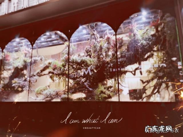 长途骑行选什么样帐篷 疫情结束,想带上帐篷带上锅来一场长途骑行,有什么好路线推荐?