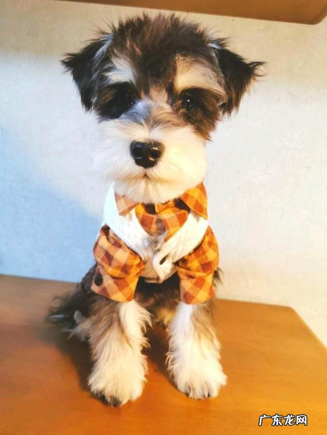 说一种 各种动物的身高、体长和寿命是多少??