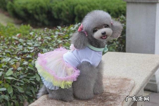 说一种 各种动物的身高、体长和寿命是多少??