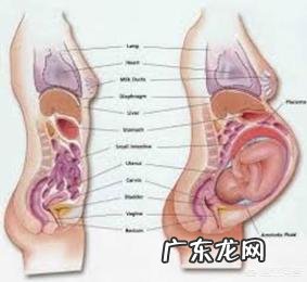 产后恢复快速收盆骨,怎么做才不会留下水桶腰?