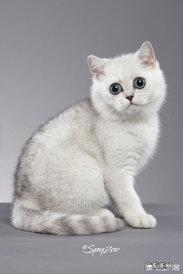 营养不良容易引发缺铁性贫血吗