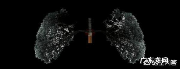 戒烟之后，身体有什么变化