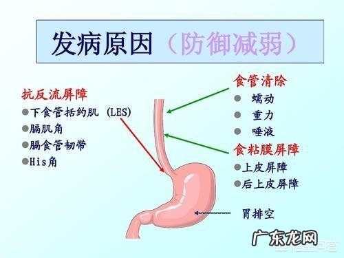 什么原因会引起胃不适？平时应该如何养好胃？