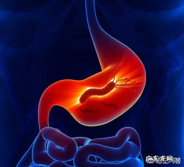 什么原因会引起胃不适？平时应该如何养好胃？