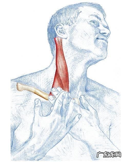 跳广场舞能缓解颈椎病吗？有何依据？