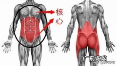 真的有能提高新陈代谢帮助减脂的食物吗？