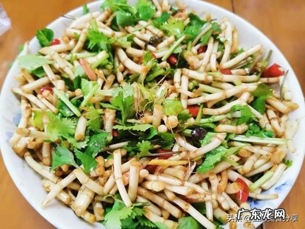 汉字简化后对国学和文化有影响吗?