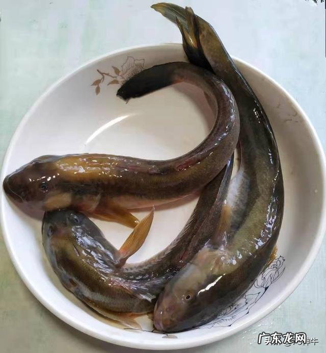 买回来的鱼怎么有煤油味 在街边买的鱼,吃起来有一股煤油的味道,这是为什么?还能吃吗?