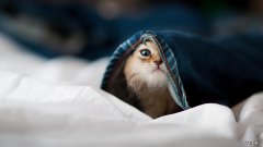 如何在家利用哑铃做无氧运动来减肥