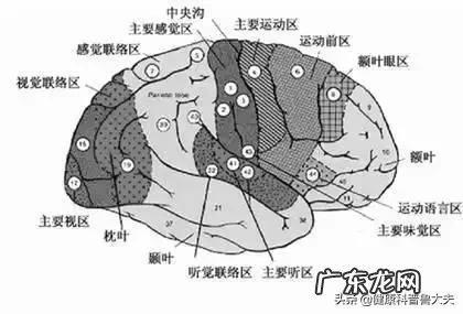 疫情期间,长了那么多肉,甩不掉了怎么办,谁有妙计安我心?