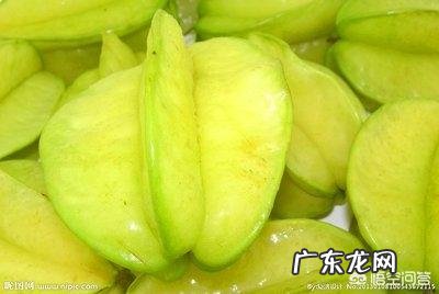 羊为什么喜欢吃盐吃盐有什么好处吗