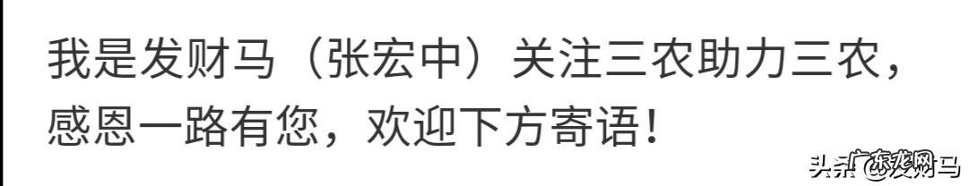 羊为什么喜欢吃盐吃盐有什么好处吗