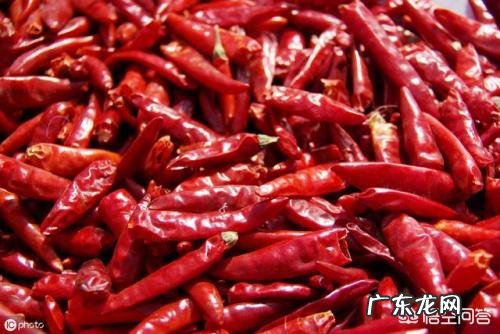 羊为什么喜欢吃盐吃盐有什么好处吗