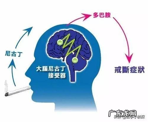 戒烟成功给你带来了哪些变化