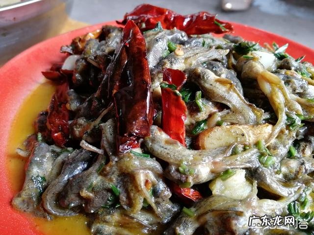 农村池塘里的小蝌蚪，人可以吃吗？