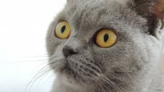 有哪些简单容易上手的舞蹈？