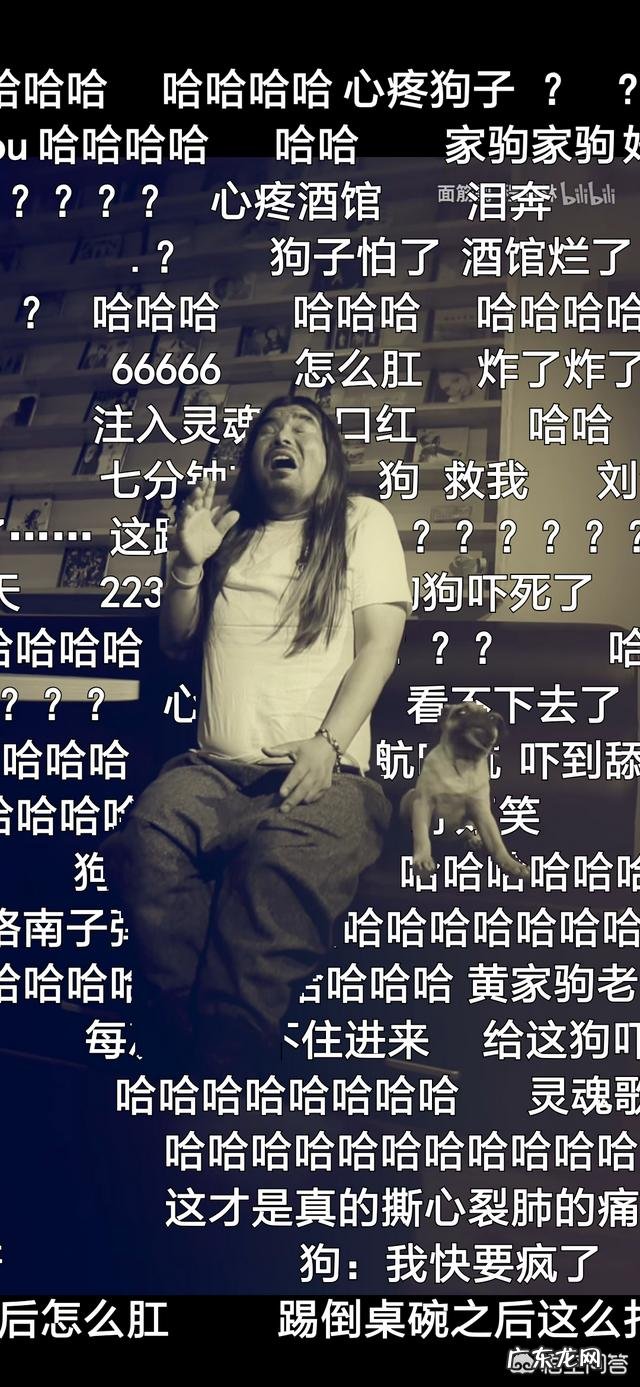 B站名人榜谁是你心中的diyi名