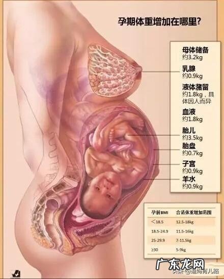 新手妈妈怀孕晚期,怎样做才比较容易顺产呢