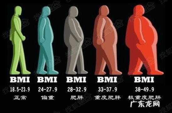 胖子和瘦子哪一个更容易得癌症？ 肥胖和瘦哪个容易得癌症