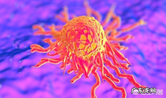 胖子和瘦子哪一个更容易得癌症？ 肥胖和瘦哪个容易得癌症