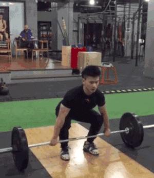 怎么样能够迅速有效地提高自己的弹跳能力