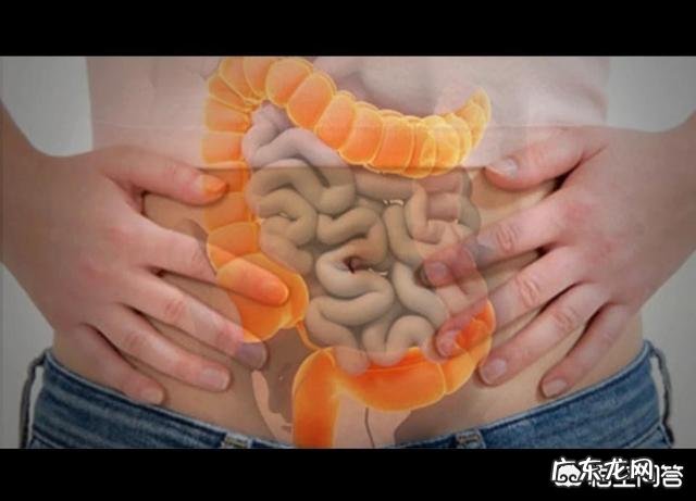 为什么会胃疼、胃酸?如何缓解? 如何快速解决胃酸胃疼