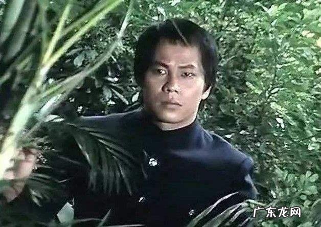 老版电视剧《霍元甲》的主要演员现状如何？