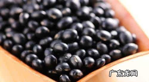 春困秋乏夏打盹一年四季皆可睡 如何摆脱春困秋乏夏打盹的困扰?