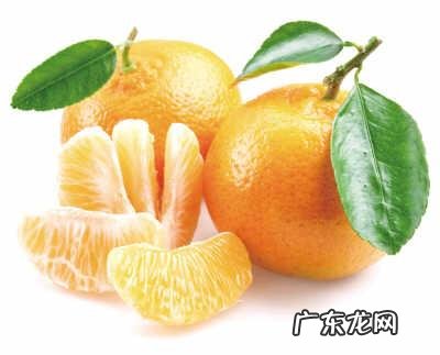 春困秋乏夏打盹一年四季皆可睡 如何摆脱春困秋乏夏打盹的困扰?