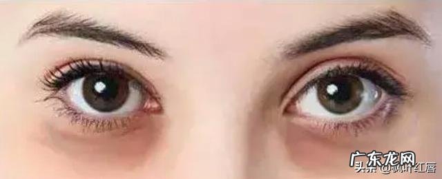 生命的根脉精化为一字，文化根脉即此字，这个首要diyi字是什么？