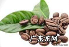 生命的根脉精化为一字，文化根脉即此字，这个首要diyi字是什么？