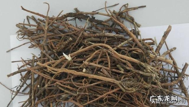 有谁知道那儿有艾草种植?